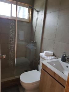 een badkamer met een toilet, een douche en een wastafel bij Cabañas Piedra Negra, Los Molles in La Ligua