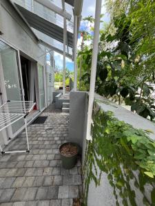 a porch of a house with a plant at Spacious basement studio in tranquil nook in Rivière Noire +1 photo