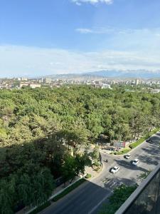 - une vue sur une ville avec une route et des arbres dans l'établissement Platinum apartment, à Bishkek