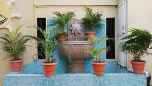 a statue of a cat in a fountain with plants at Meenakshi's Sunshine Hotel in Madurai