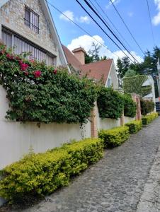 Un jardín fuera de Bella habitación Hacienda Santo Domingo 6 fotos más