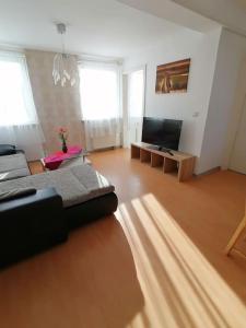 uma sala de estar com um sofá e uma televisão de ecrã plano em Apartment Irina em Pirmasens