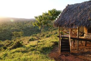 a hut with a ladder and a tree on a hill at Crater Forest Tented Lodge in Karatu