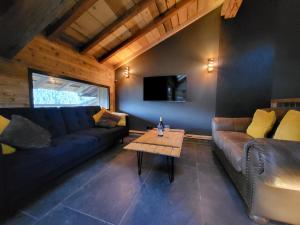 TV a/nebo společenská místnost v ubytování The Loft - unique apartment, NR MORZINE