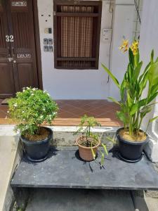 three potted plants sitting on a table in front of a building at Rumah Warisan Penang in George Town