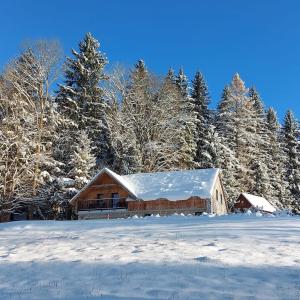 a house covered in snow in a field with trees at Horská chata KRKONOŠKA HARRACHOV & Privat wellness relax GROTTA SPA in Harrachov