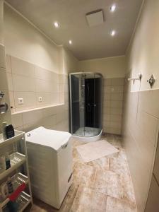 a bathroom with a shower and a toilet in it at Flat for up to 4 people in Dresden-Striesen in Dresden