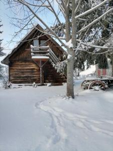 a log cabin in the snow with a tree at Kućica za odmor-Borova glava in Zlatibor