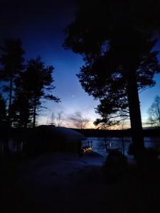 a night time view of a tree and the sky at Villa Haaveranta - Cosy cabin by the lake in Rovaniemi