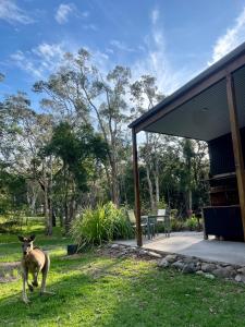 a dog standing in the grass next to a building at Coastal bush gateway nr South West Rock Beach in Arakoon