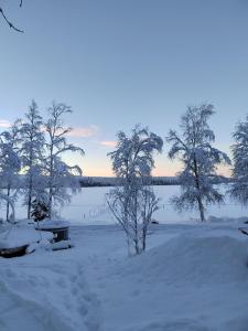 ein schneebedecktes Feld mit Bäumen und einem See in der Unterkunft Villa Haaveranta - Cosy cabin by the lake in Rovaniemi