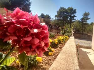 a garden with red and yellow flowers and a sidewalk at Apartments T&C in Drage +8 photos