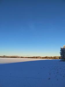 a snowy field with footprints in the snow at Villa Haaveranta - Cosy cabin by the lake in Rovaniemi