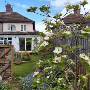 a garden with white flowers in front of a house at Comfortable artistic house welcomes you! in Oxford