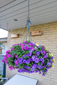 Zahrada ubytování Bed & Breakfast Horsens - Udsigten