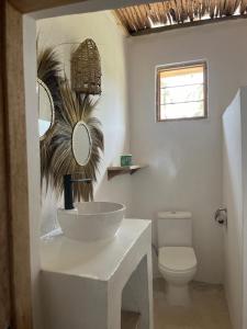 a bathroom with a sink and a toilet at Villa Upendo Paje in Paje