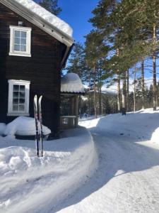 a house with skis in the snow in front of it at Breiva Gjestegaard og Glamping in Bø