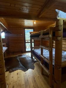 - une chambre avec 2 lits superposés dans une cabine dans l'établissement Intre Barse, à Zărneşti