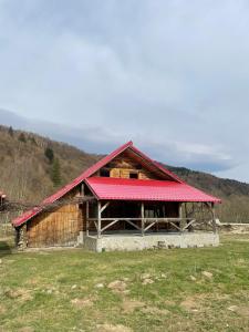 une grange avec un toit rouge dans un champ dans l'établissement Intre Barse, à Zărneşti
