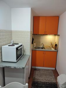 Gallery image of Apartman Jevtic Zlatibor in Zlatibor