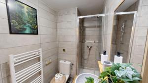 La salle de bains est pourvue d'une douche et de toilettes. dans l'établissement expat renting - L’Evasion - Saint Michel - Métro, à Toulouse