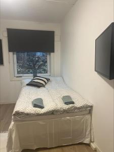 a bed with two pillows and a window in a room at Gamle Oslo Apartments in Oslo