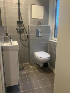 ein Bad mit einem WC, einem Waschbecken und einer Dusche in der Unterkunft Gamle Oslo Apartments in Oslo