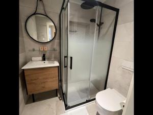 W łazience znajduje się prysznic, umywalka i toaleta. w obiekcie Tonnelet Rouge - Appt au cœur de la ville w Strasburgu