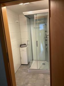 een glazen douche in een badkamer met een toilet bij Molltaler Appartements en b&b in Stall