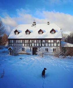 Το Dom pod Mandragorą τον χειμώνα