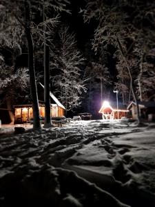 BašķiMini saunahouse的夜间带雪盖的院子