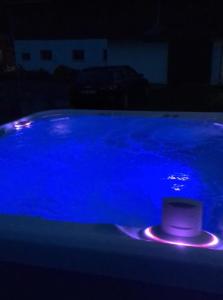 a hat sitting in a blue pool at night at Schleusenhof Ferienwohnung in Spieka-Neufeld