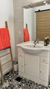 ein Bad mit einem Waschbecken und einem Spiegel in der Unterkunft Spacieux T2 idéalement placé in Toulouse