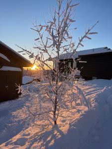 Blåfjell Stugby en invierno