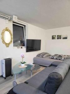 uma sala de estar com um sofá e uma televisão em Lakeview Basement Apartment near Interlaken em Niederried
