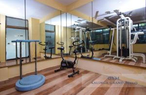 um ginásio com passadeiras e bicicletas ergométricas em frente a um espelho em Hotel Kalinga Grand - Top Rated Most Awarded Property In Manali em Manali
