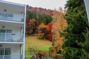 Foto de la galeria de Green Mountain a Sallanches