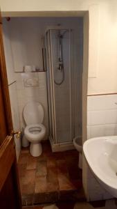 a bathroom with a shower and a toilet and a sink at Relais Corso Storico in Pisa