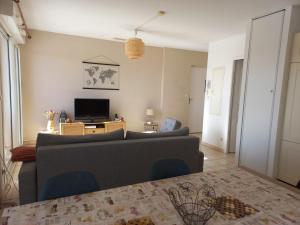 sala de estar con sofá y TV en Le Barcares bel appartement 62m2 -2 chambres en Le Barcarès