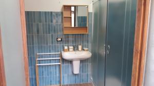 a bathroom with a sink and a glass shower at CASA MASCIA in Cencenighe