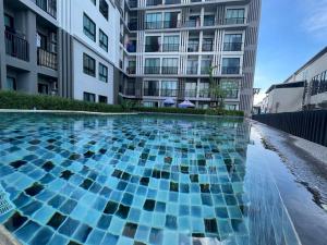 Bazén v ubytování Zcape 4U nebo v jeho okolí + 15 fotografií