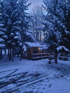a cabin in the woods with snow on the trees at Domki drewniane pod Karpaczem in Mysłakowice