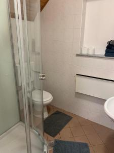 y baño con ducha, aseo y lavamanos. en Apartments Nune 2, en Zreče