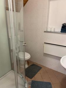 a bathroom with a shower and a toilet and a sink at Apartments Nune 2 in Zreče +17 photos
