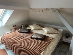 1 dormitorio con 1 cama grande y 2 almohadas en SUITE WILLA CHEZ WILLI en Niederschaeffolsheim