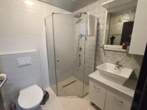 a bathroom with a shower and a toilet and a sink at Daylight Apartments Sibiu in Sibiu +13 photos