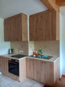 Kuchyň nebo kuchyňský kout v ubytování Apartment Lärchenheim
