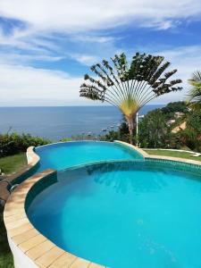 una gran piscina con una palmera y el océano en Entre Ceu e Mar, en Morro de São Paulo