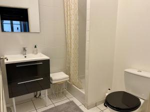 ein Bad mit einem WC, einem Waschbecken und einer Dusche in der Unterkunft Appartement Le Cadet Roussel Auxerre Les Quais in Auxerre