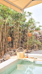 a swimming pool with a basket and trees at Aewol Gilro in Jeju